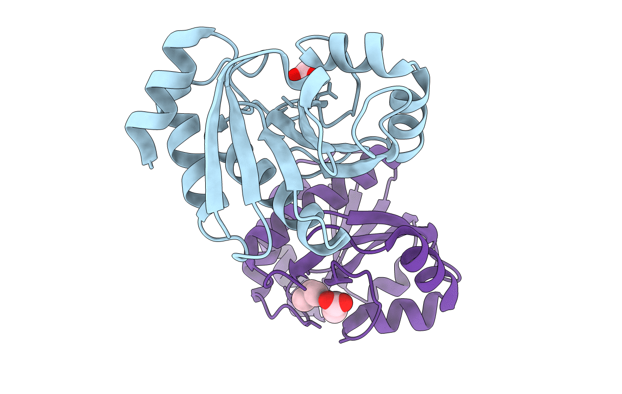 2DX6 image