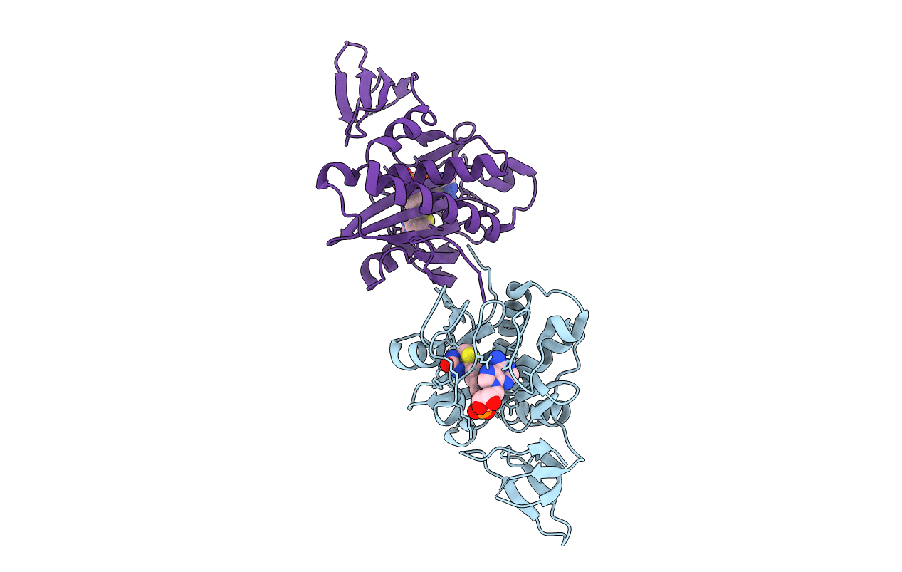 2DXU image