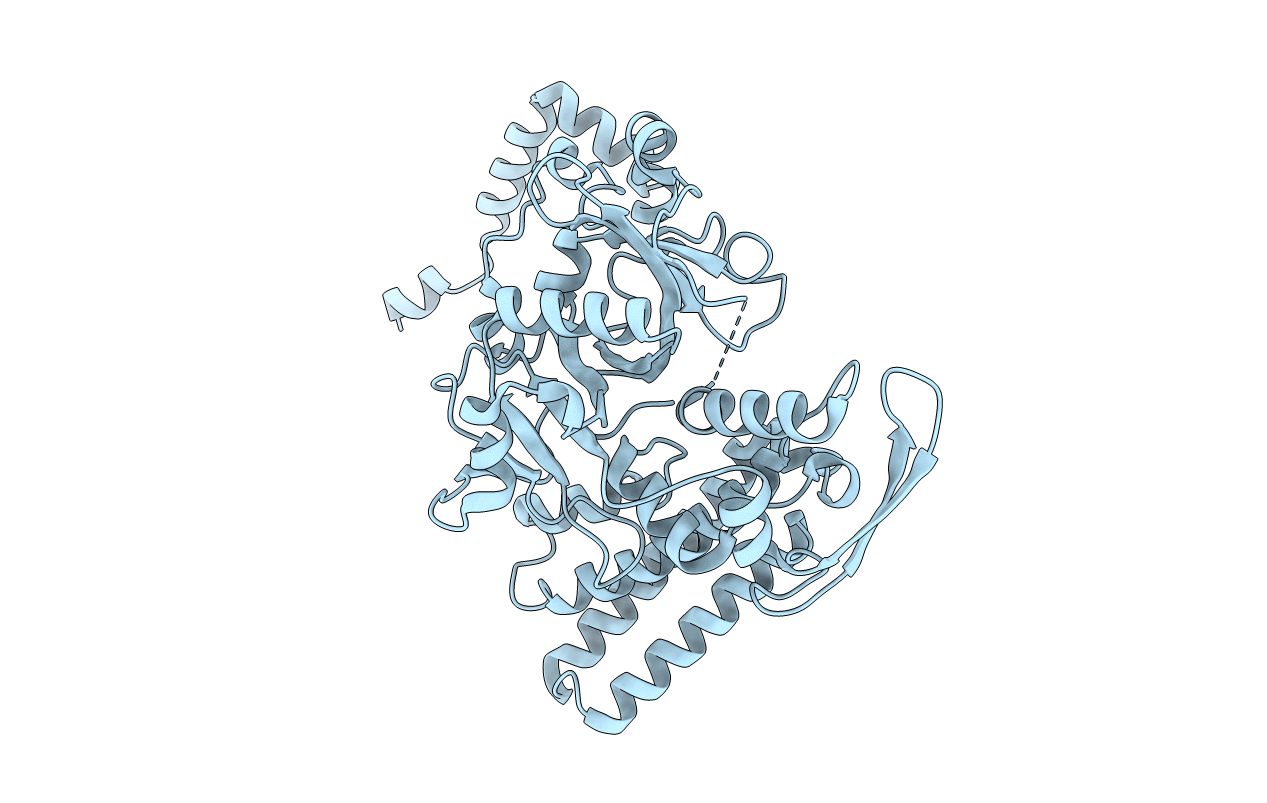 2E02 image