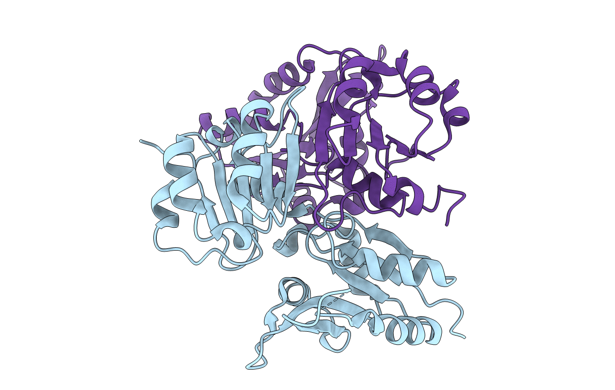 2E0K image
