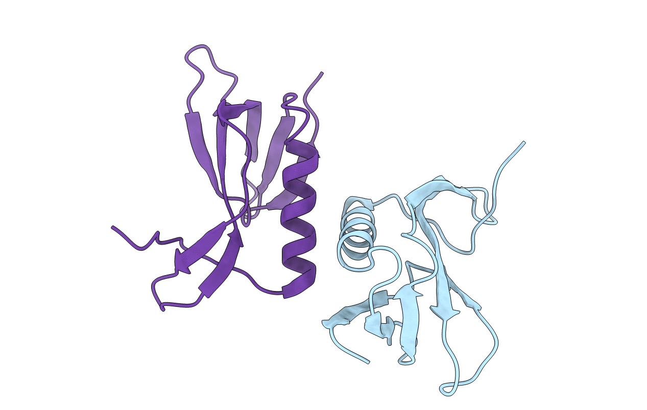 2E12 image