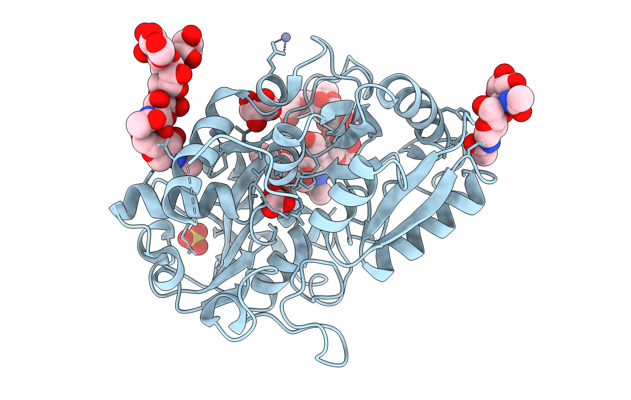 2E1S image