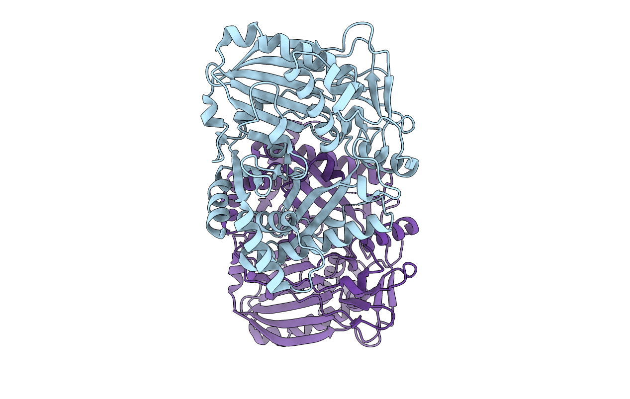 2E1V image