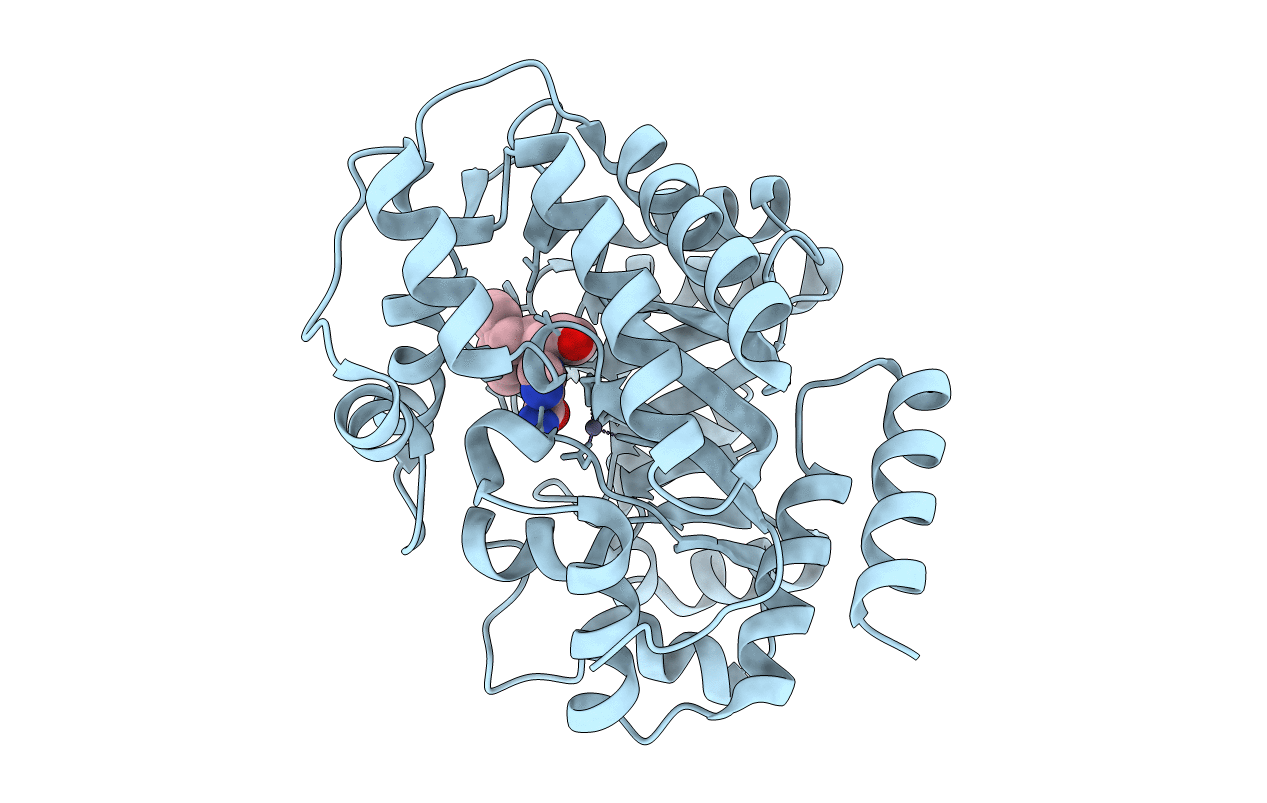2E1W image