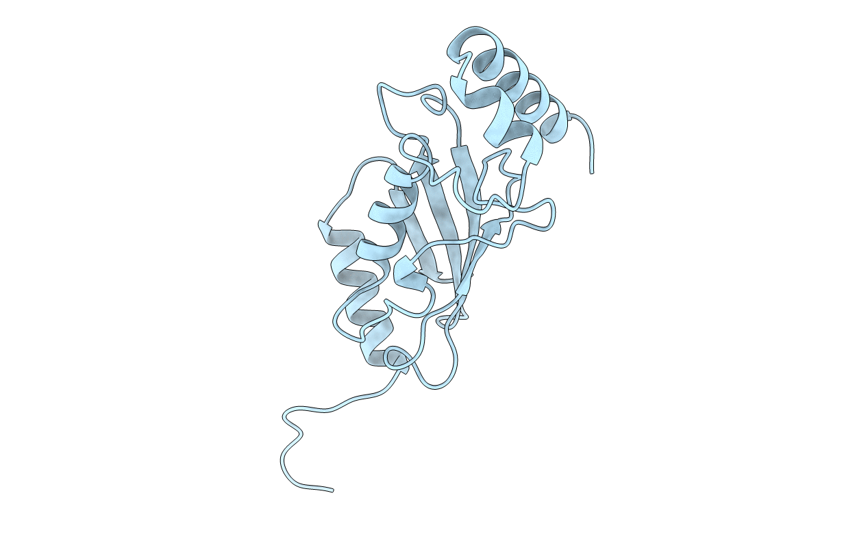 2E2C image