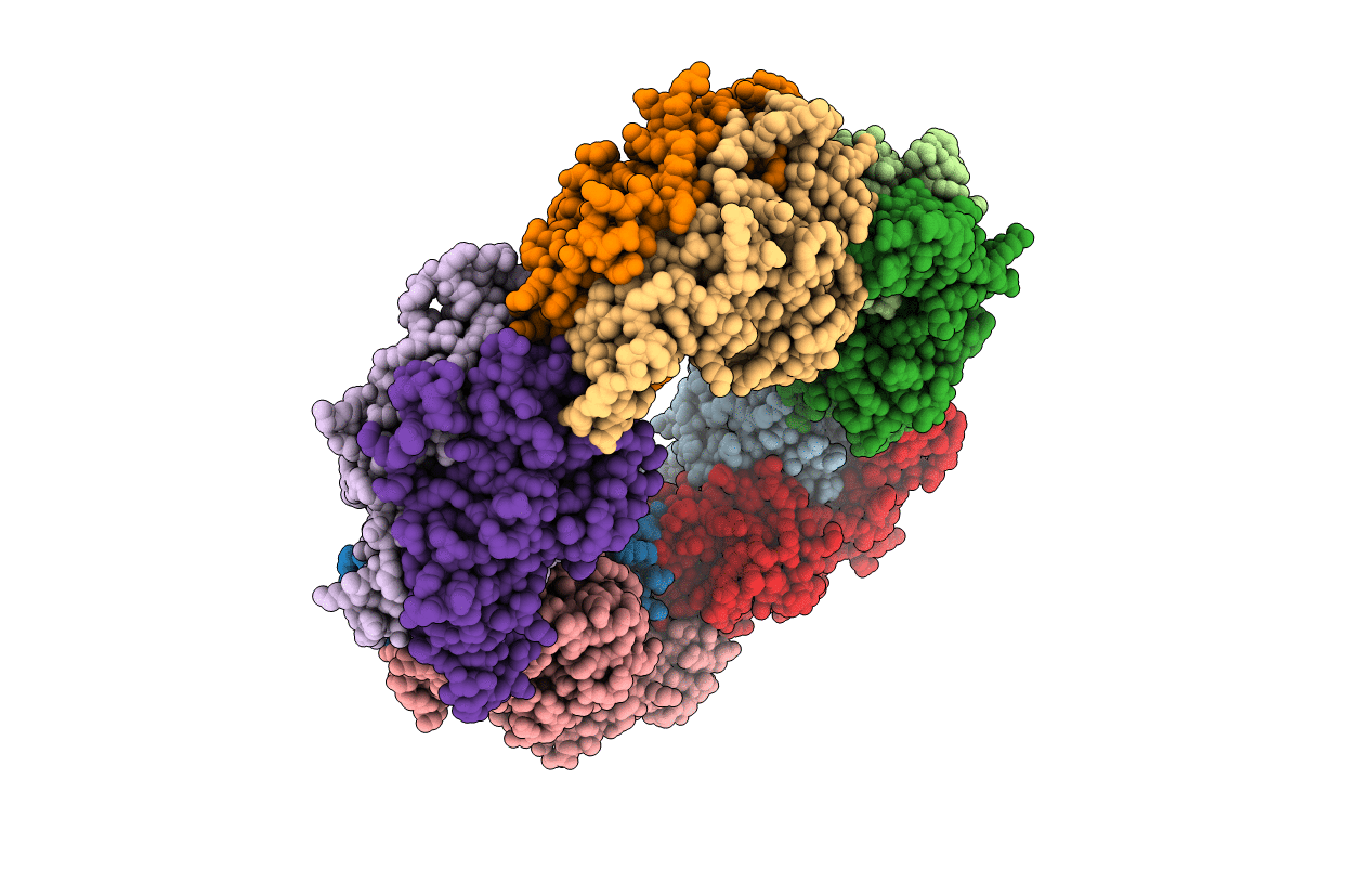 2E2G image
