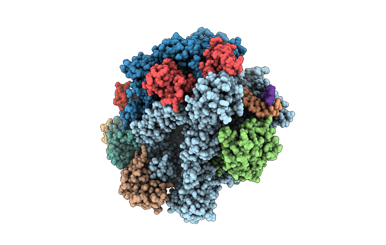 2E2J image