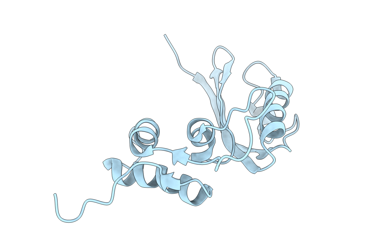 2E35 image