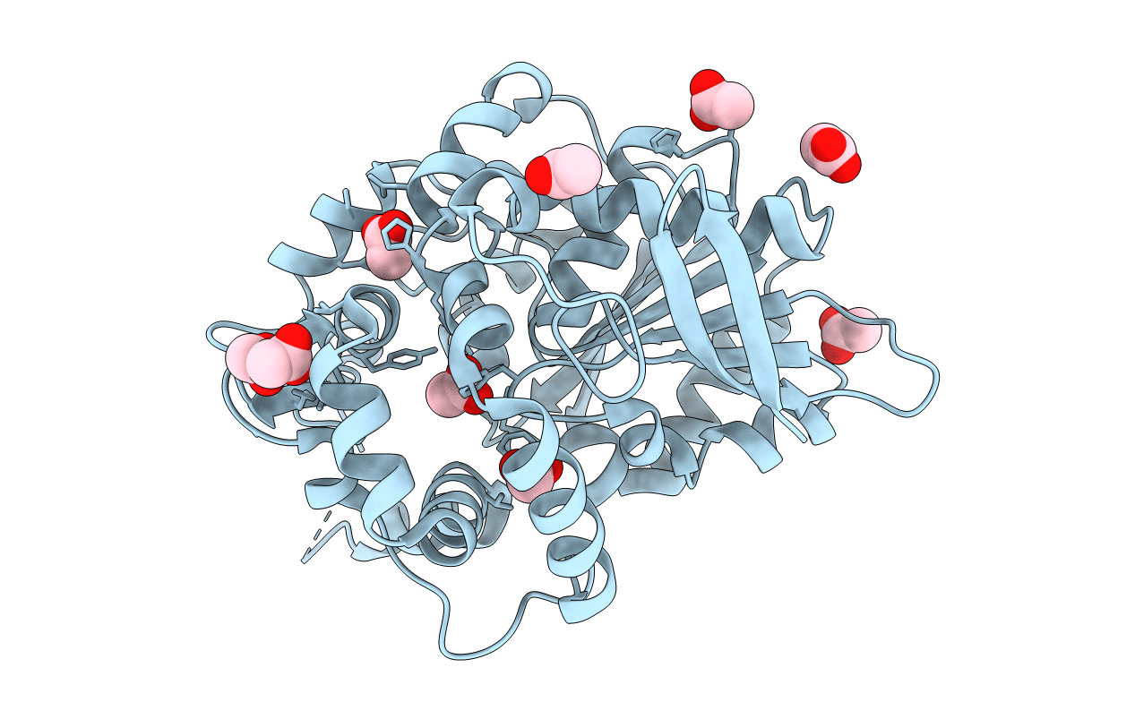2E3J image