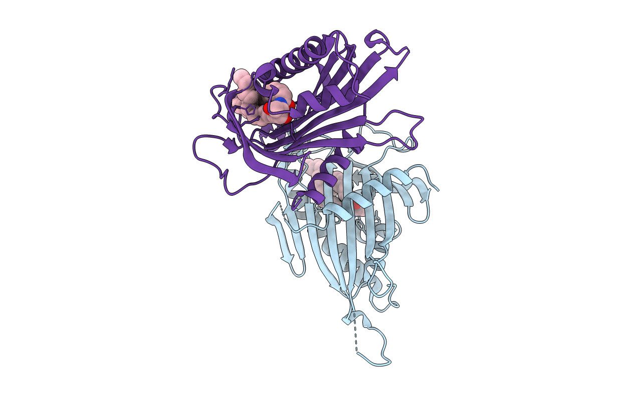 2E3R image