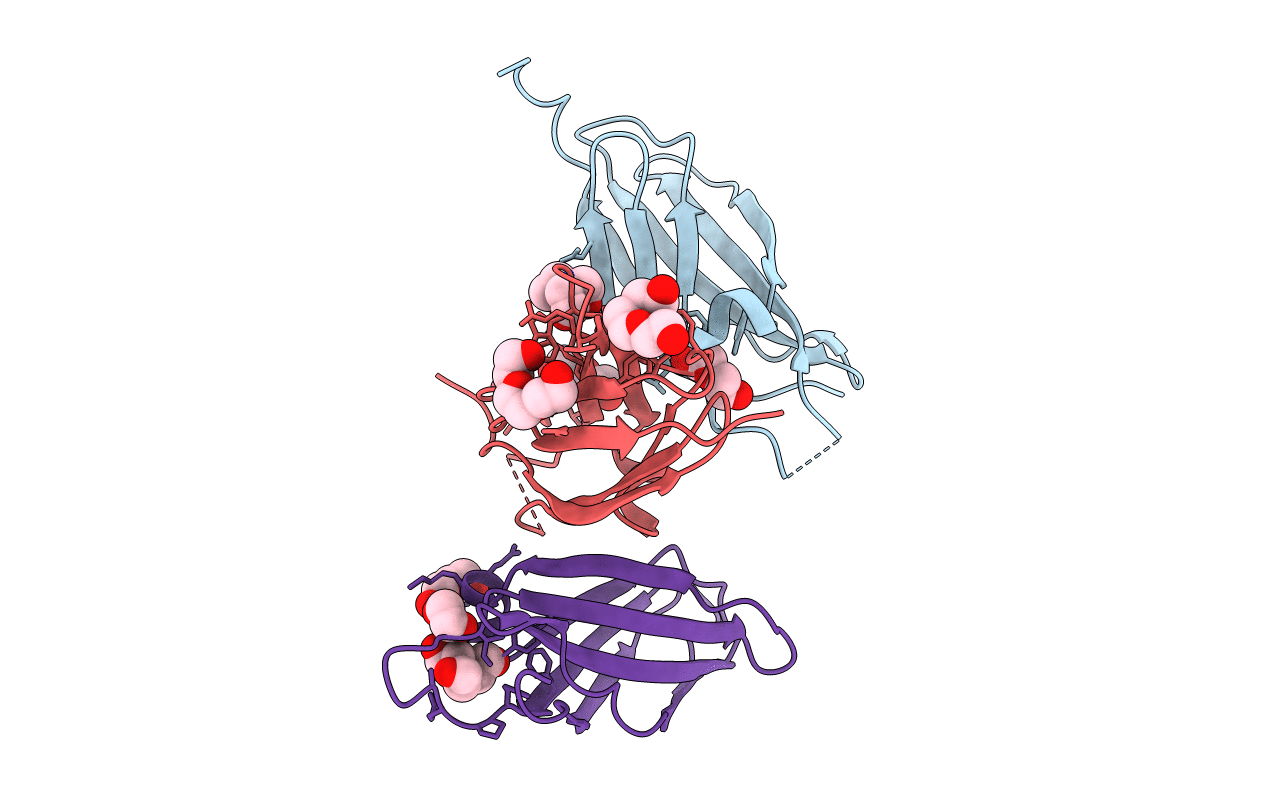 2E3V image