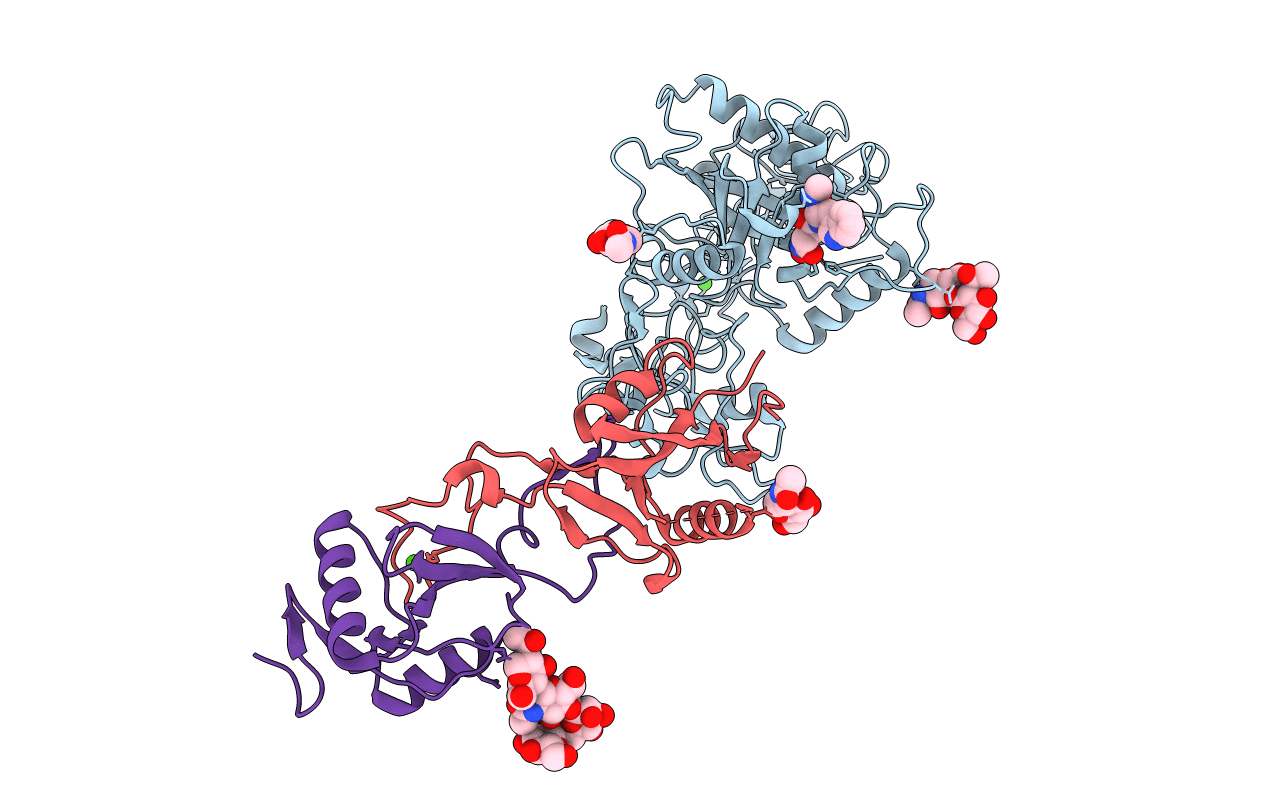 2E3X image