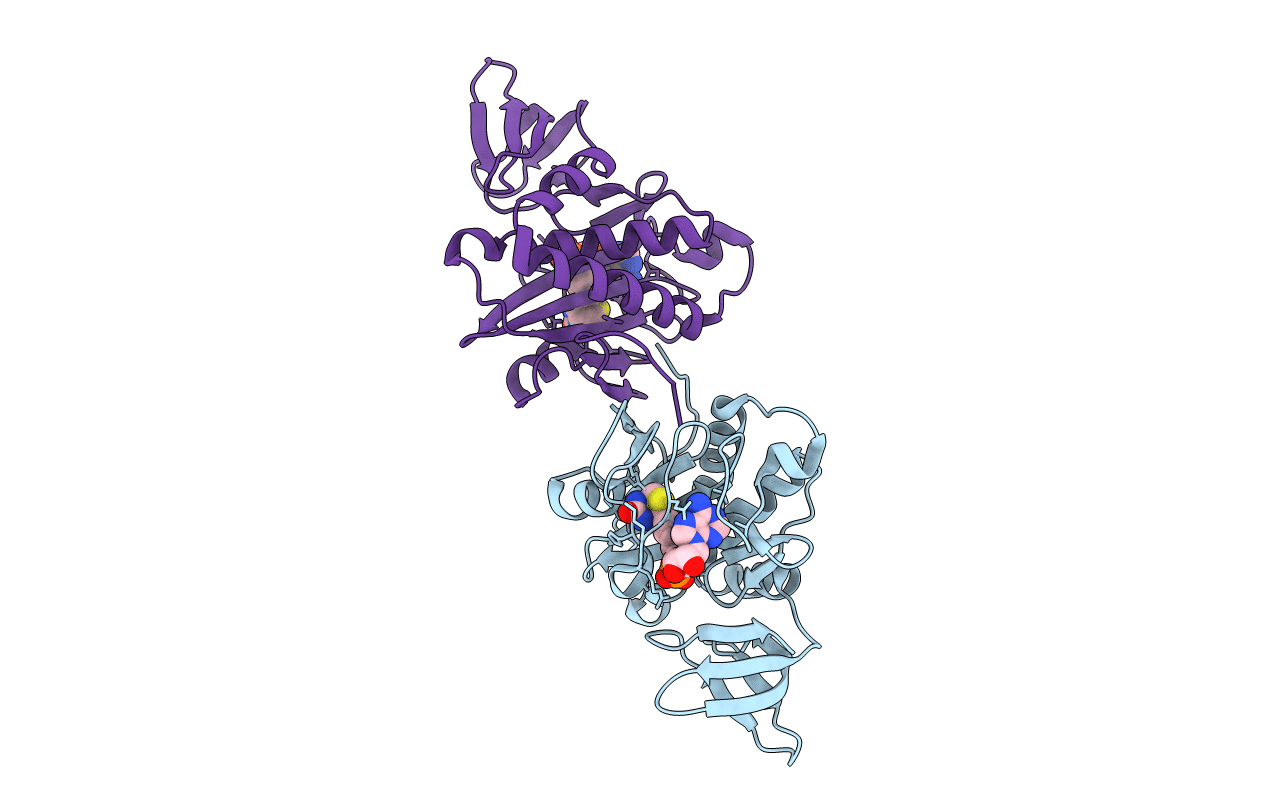 2E41 image
