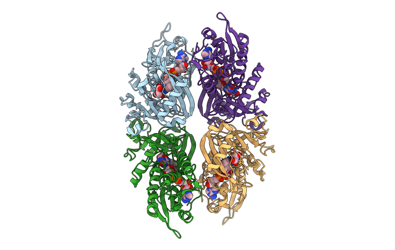 2E49 image