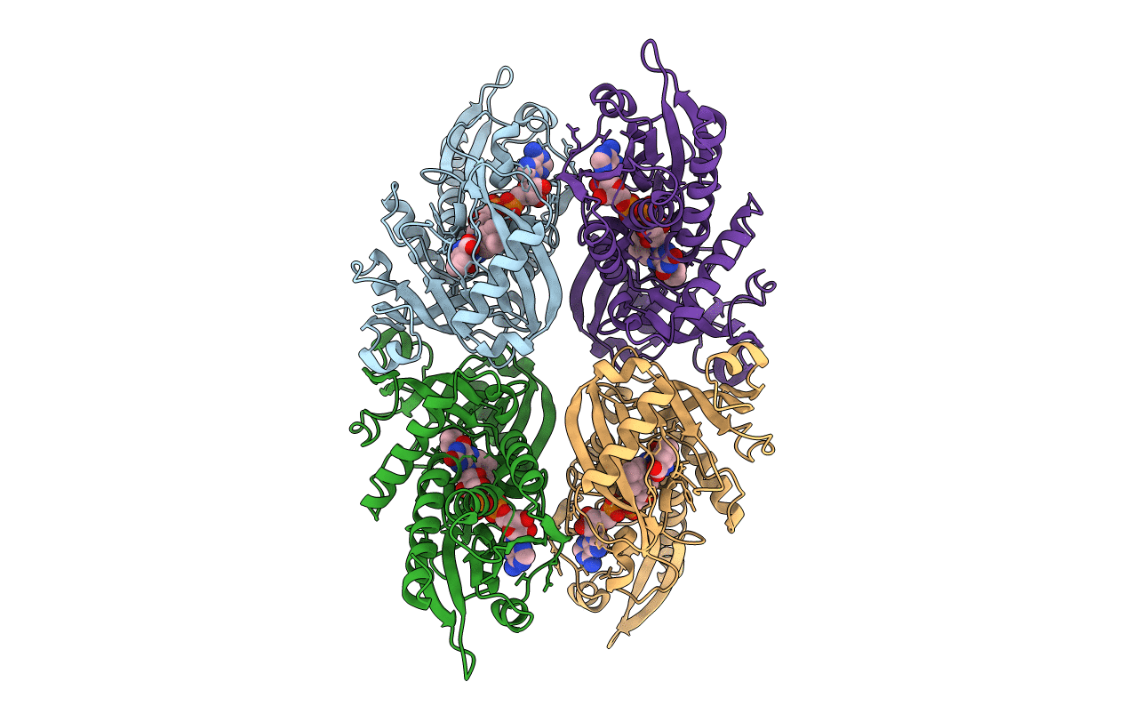 2E4A image