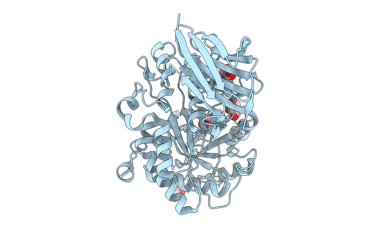 2E4T image