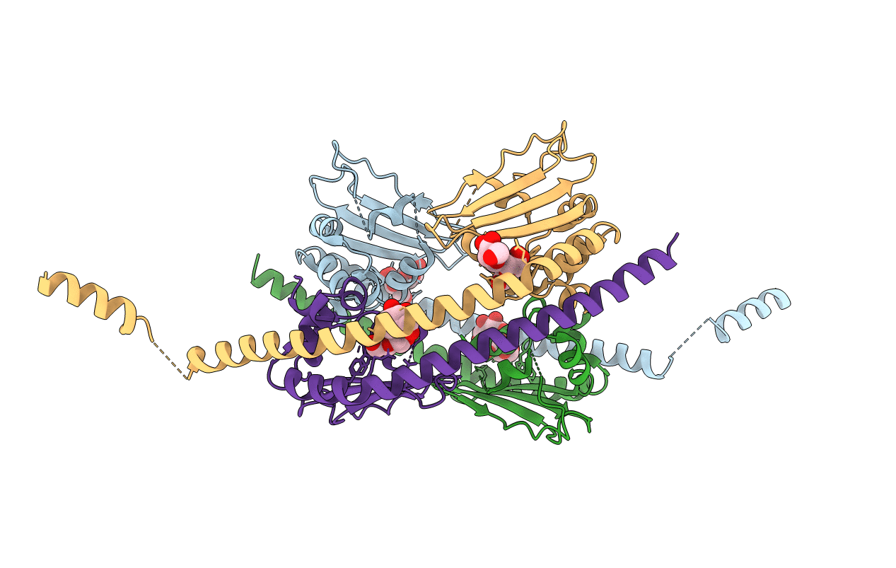 2E50 image