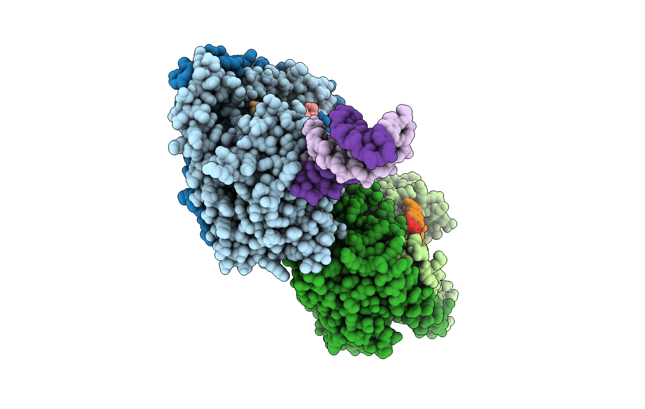 2E52 image