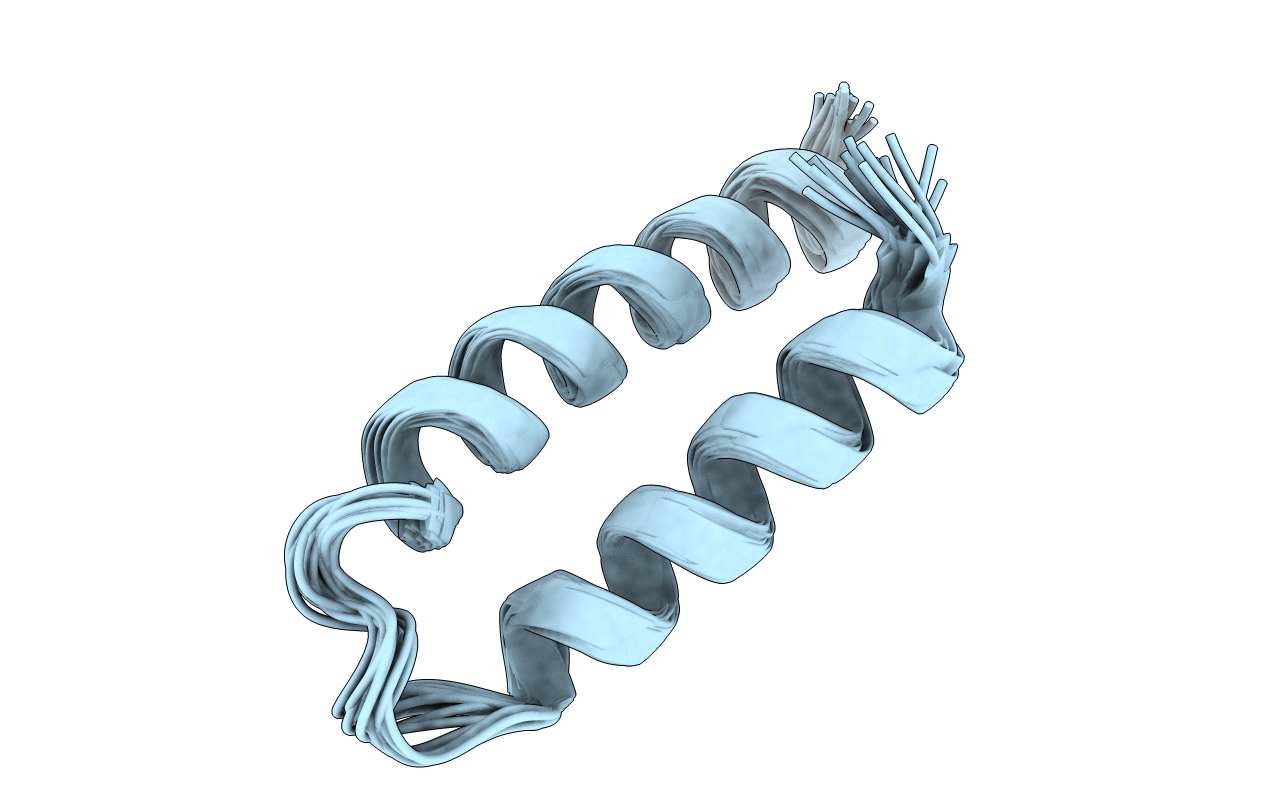 2E5T image