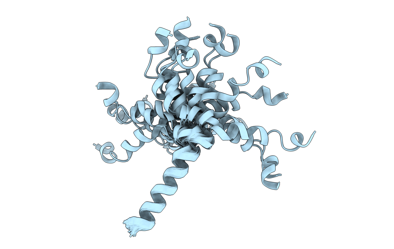 2E5U image