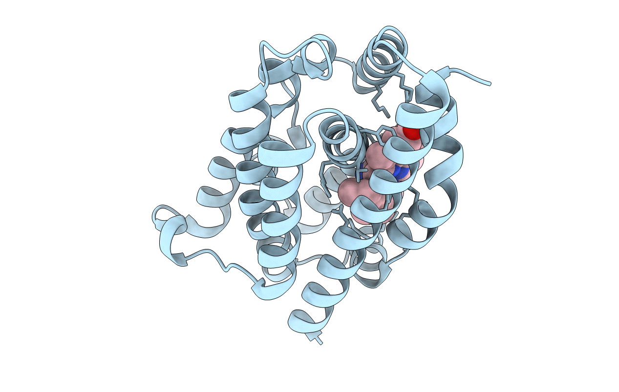 2E7E image