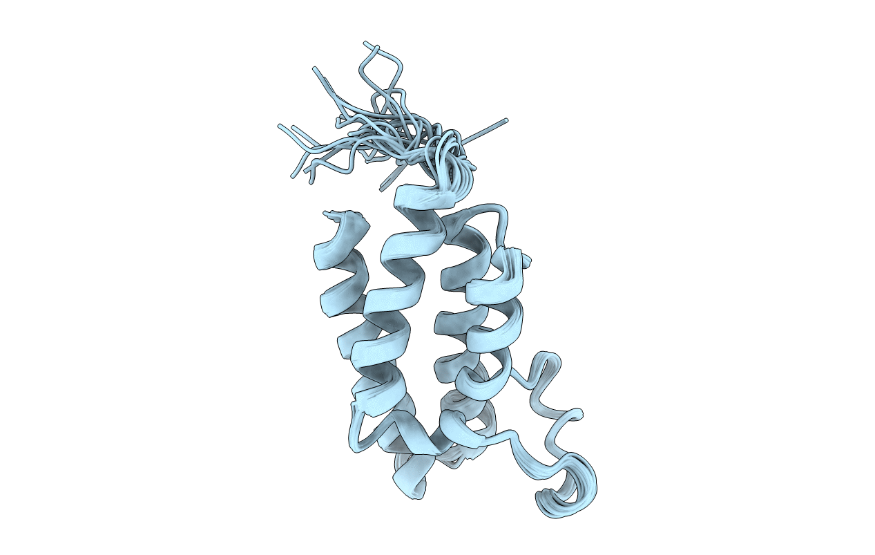 2E7O image