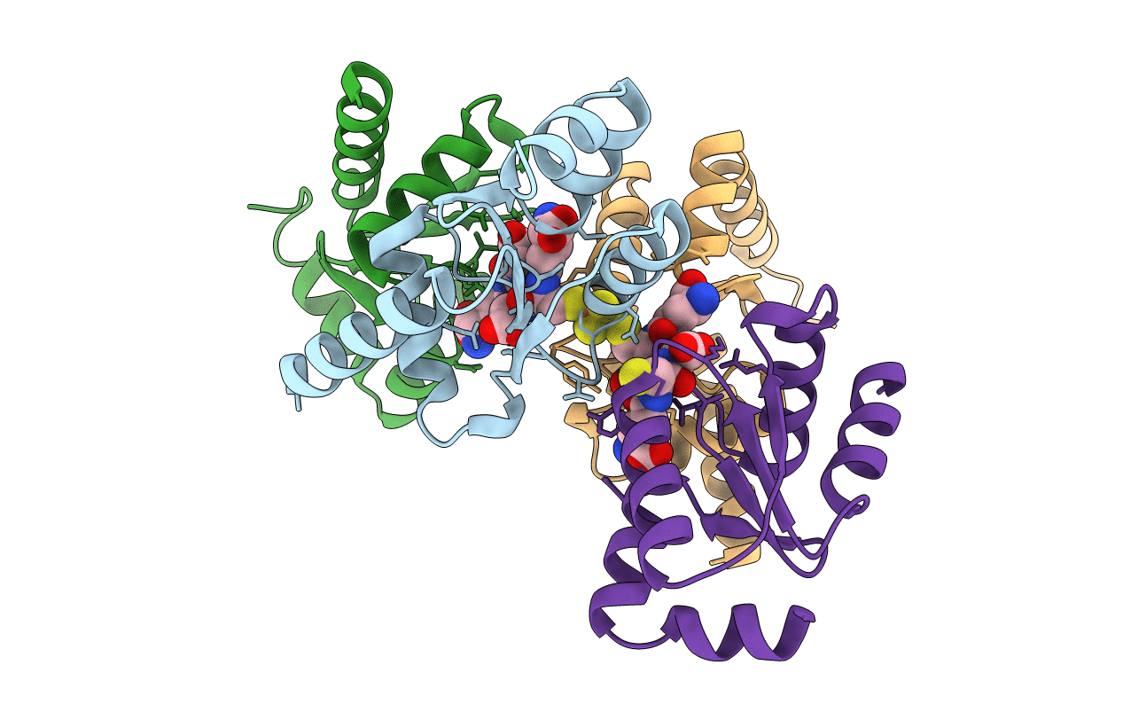 2E7P image