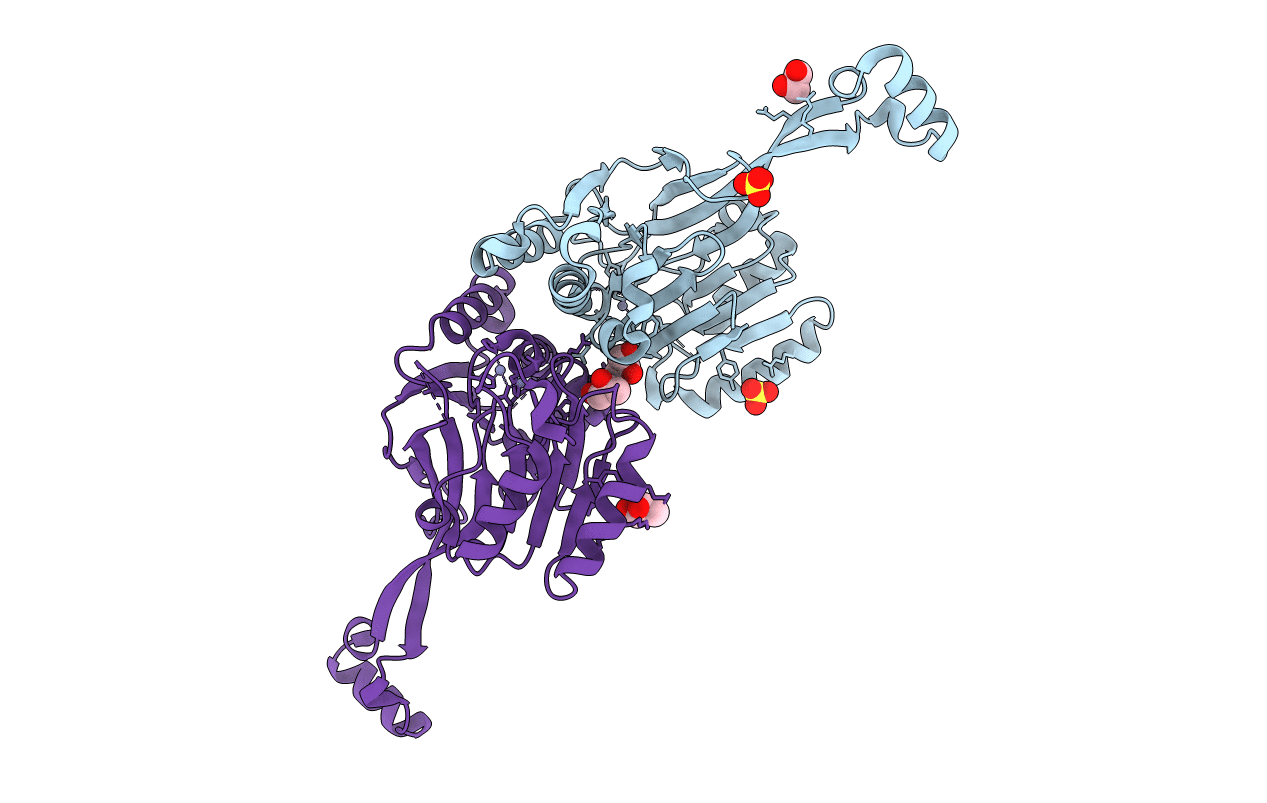 2E7Y image