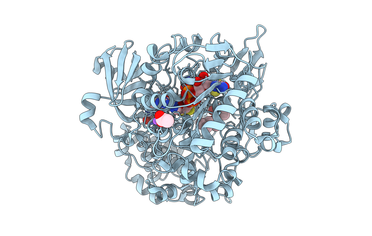 2E7Z image