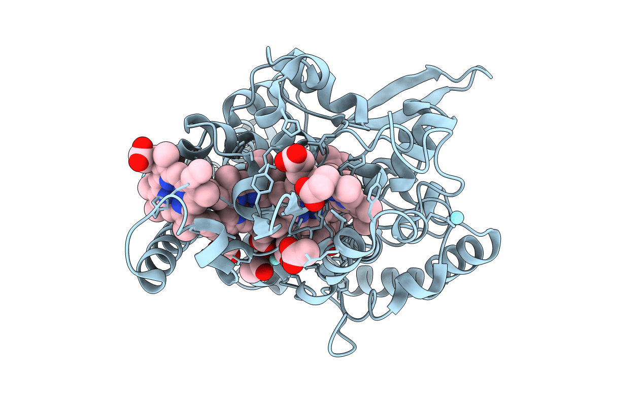 2E80 image