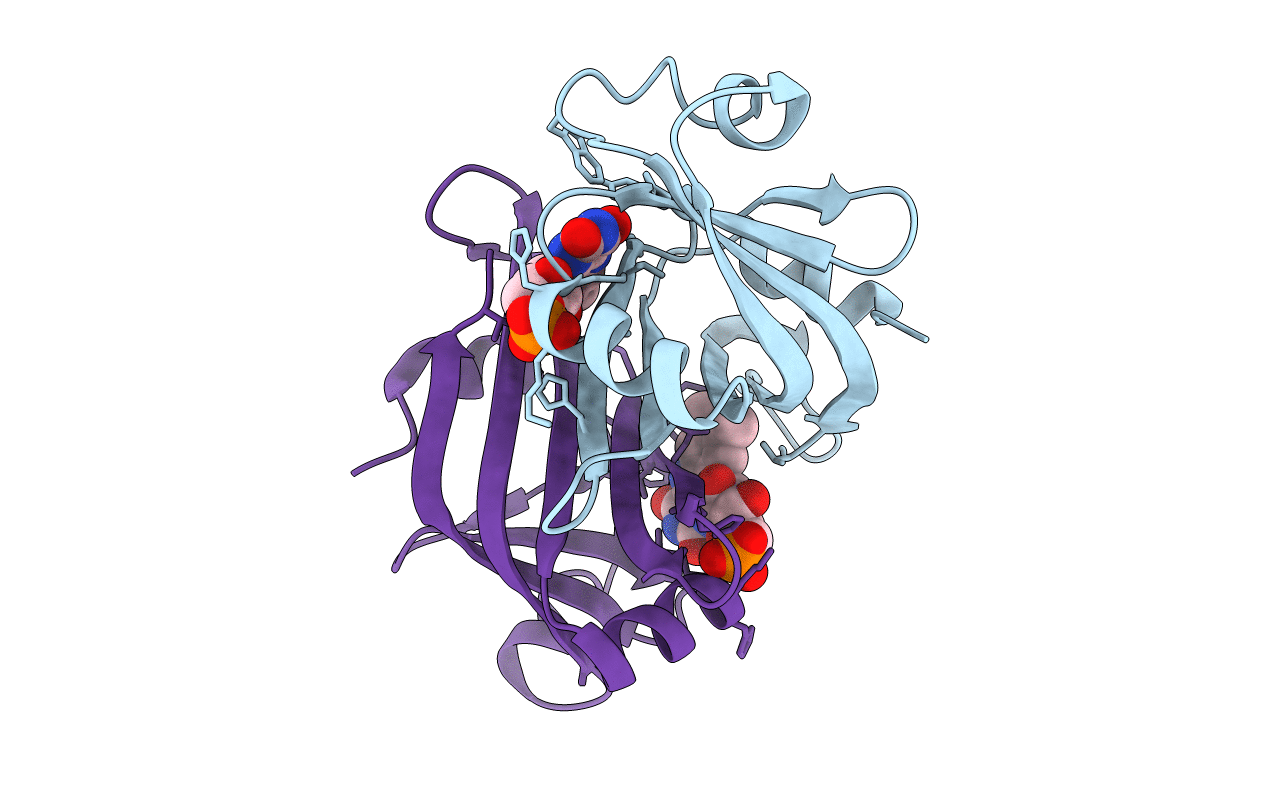 2E83 image