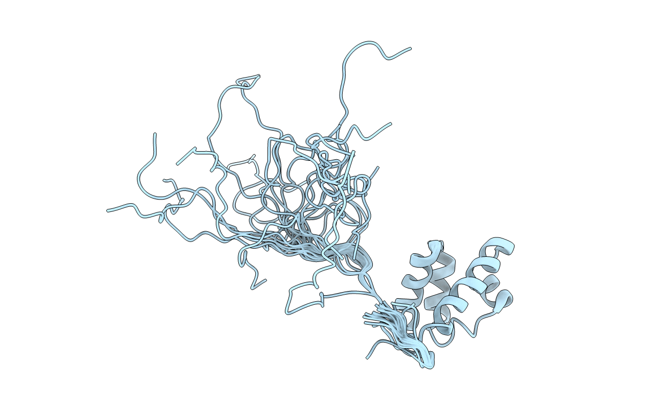 2E8O image