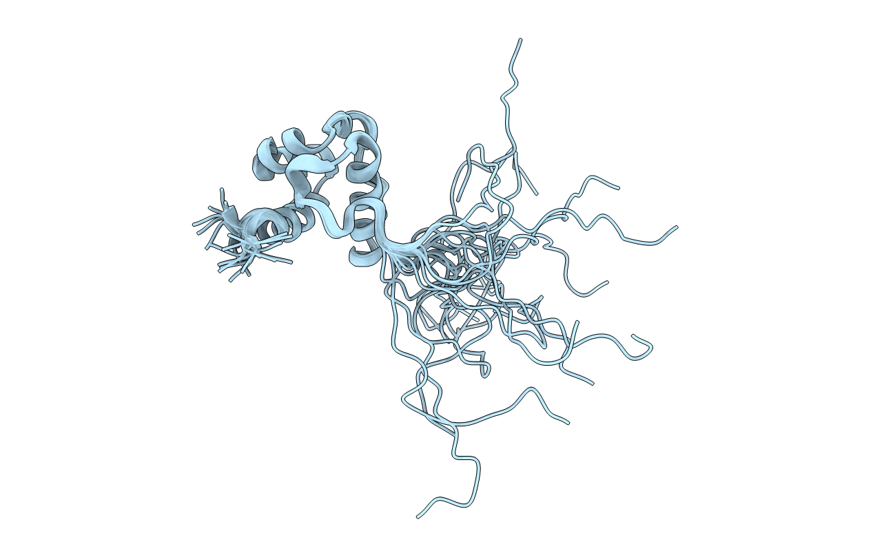 2E8P image