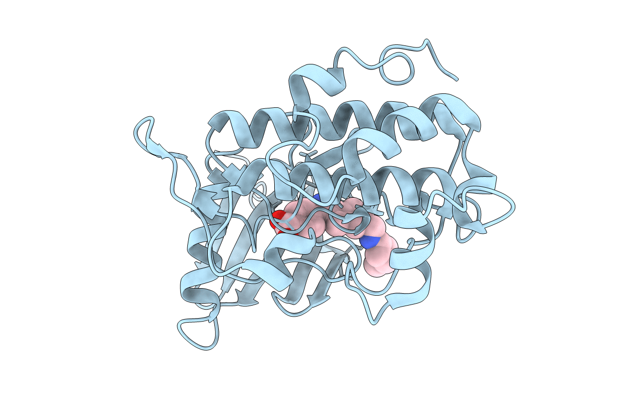 2E9O image