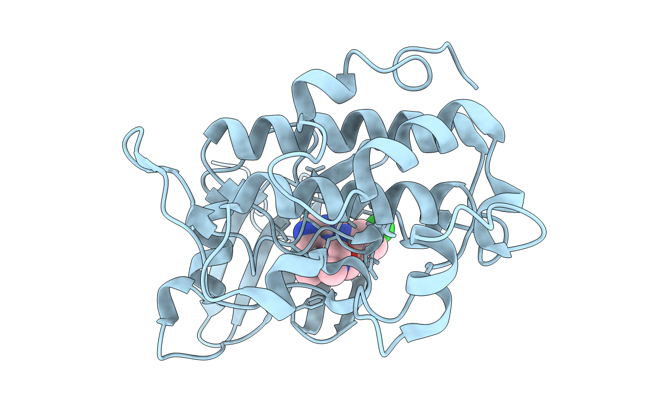 2E9P image