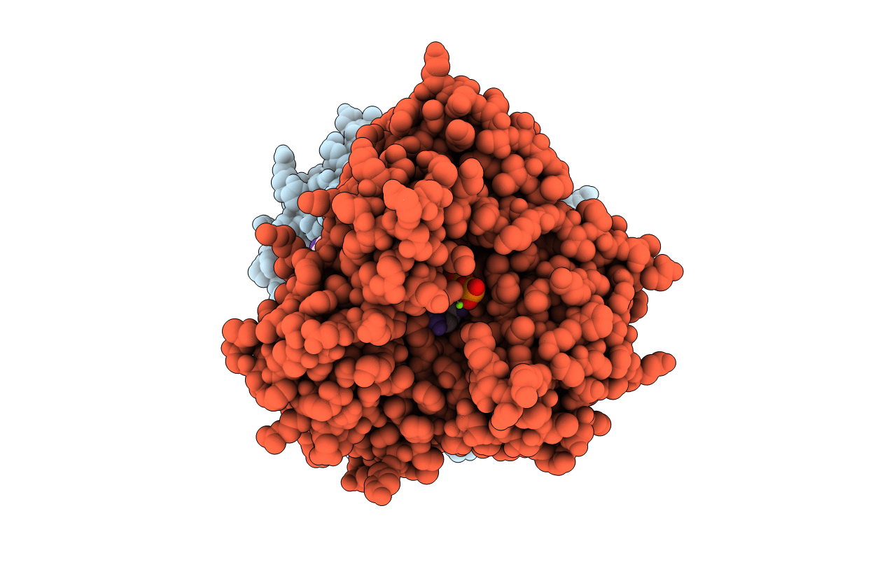 2E9T image