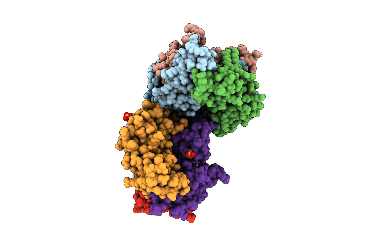 2E9X image