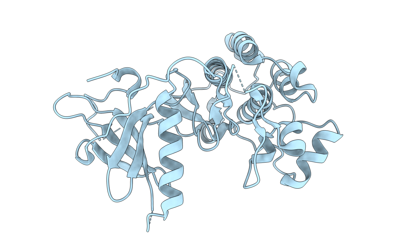2EB2 image