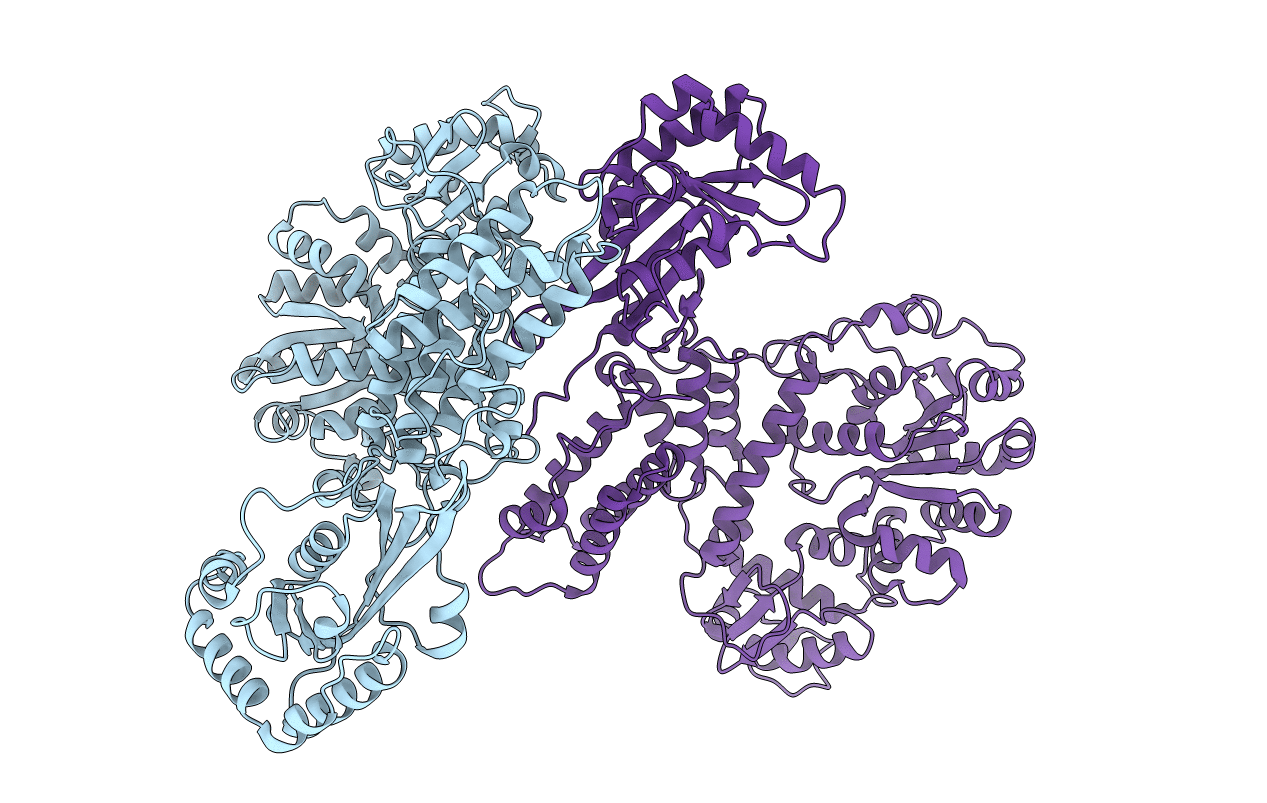2EC5 image
