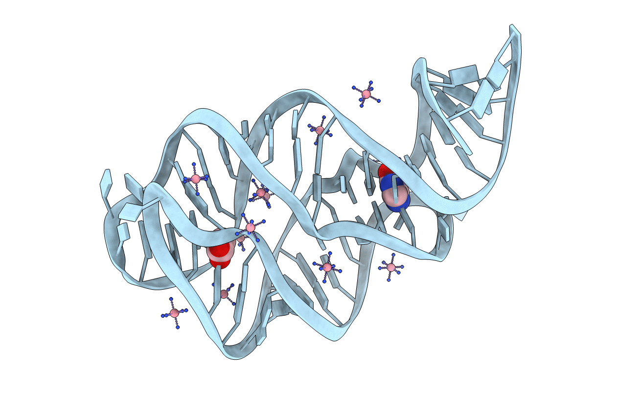 2EEV image
