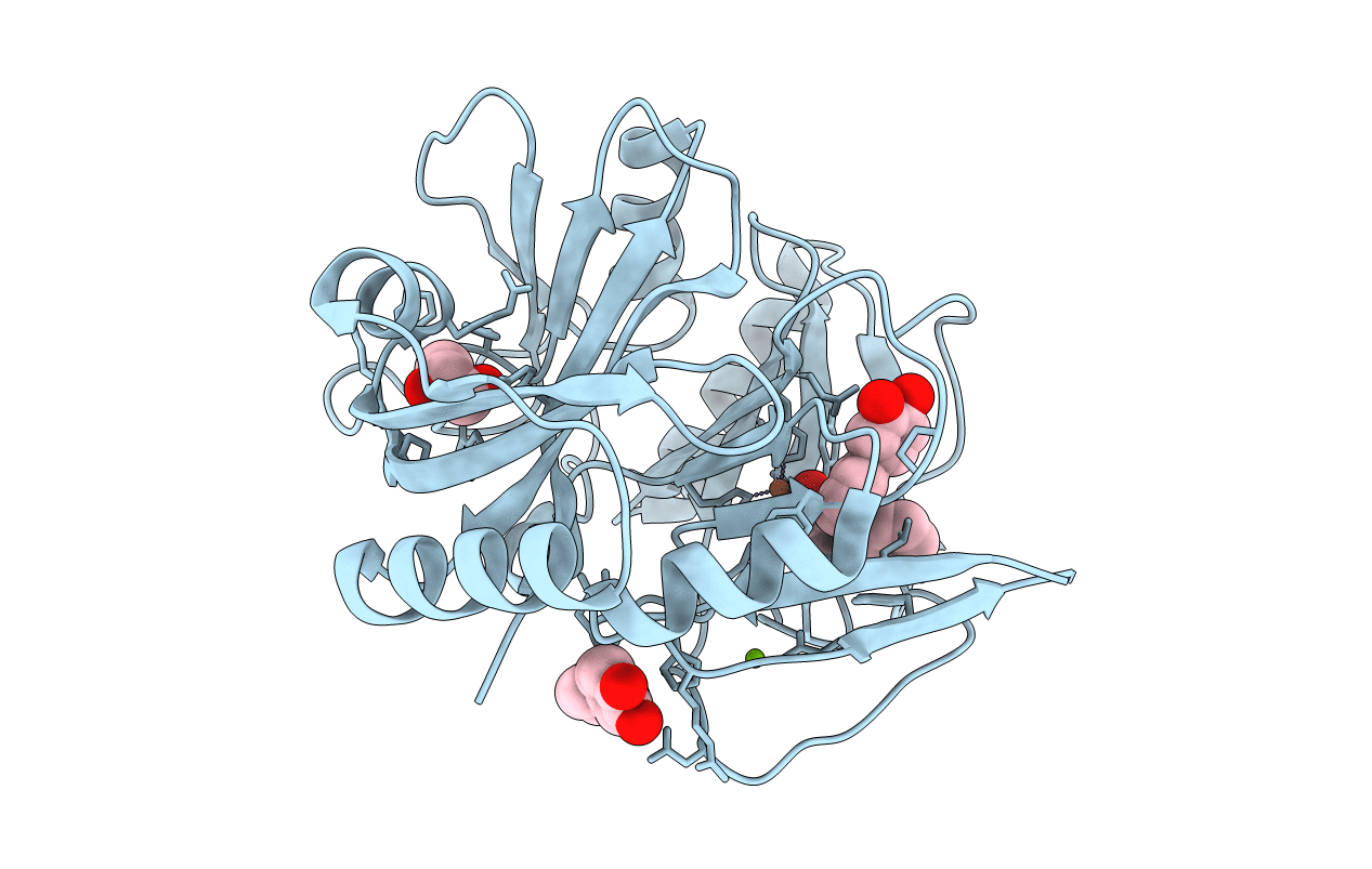2EI0 image