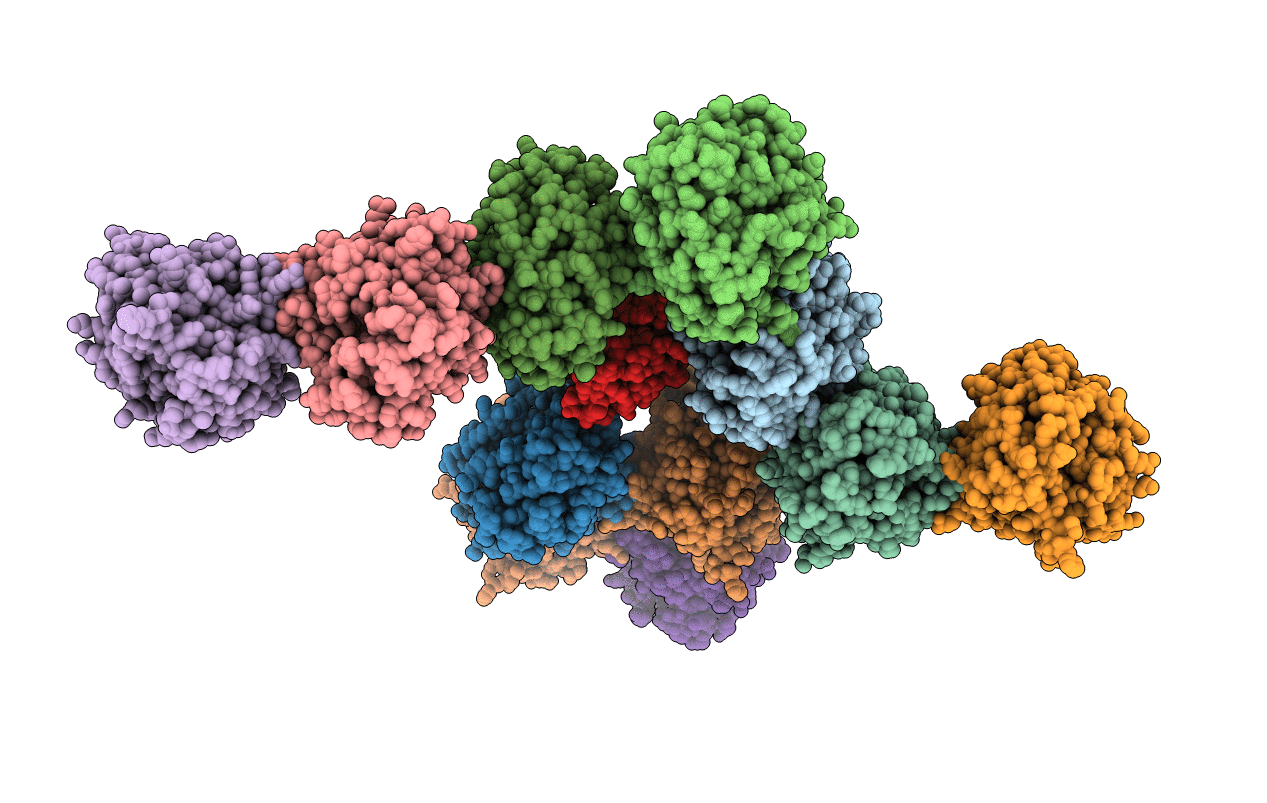 2EIV image
