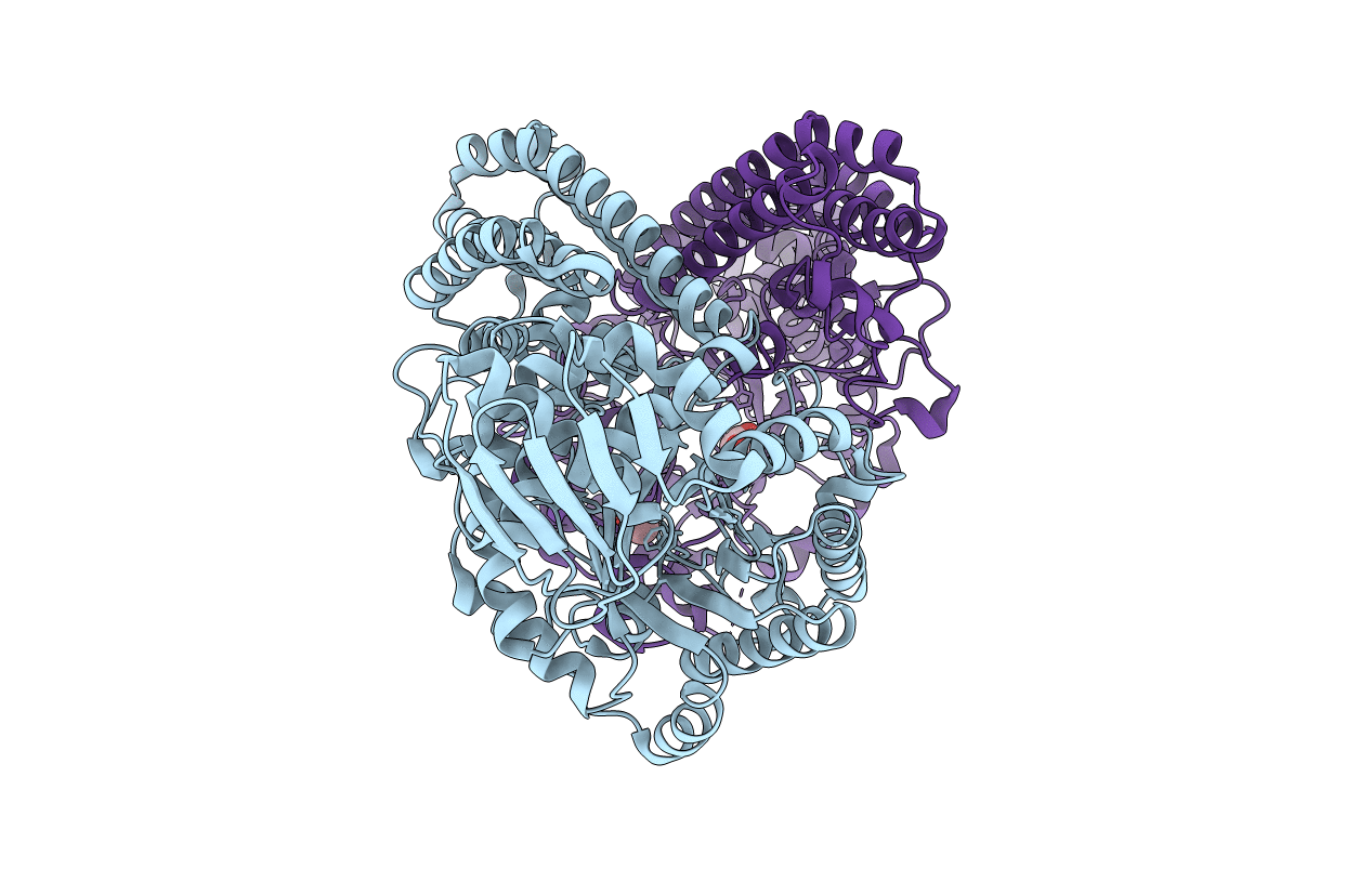 2EPO image