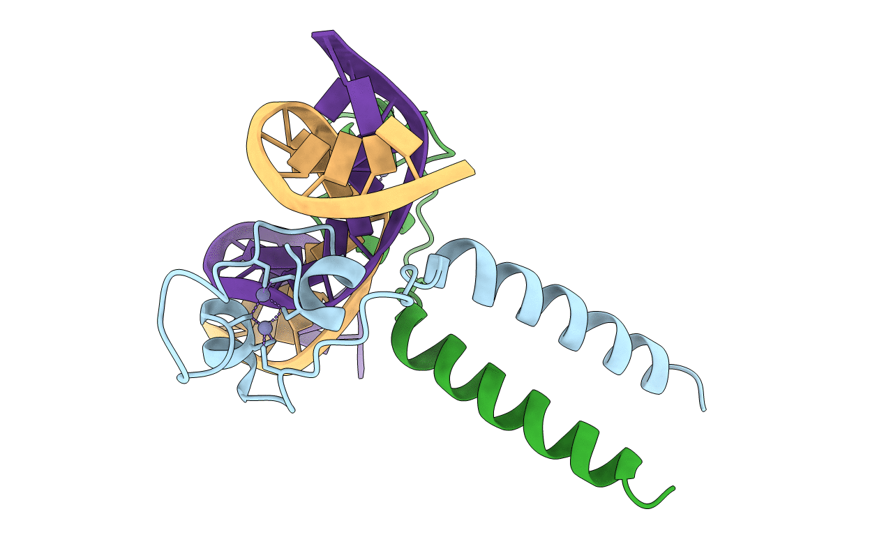 2ERG image