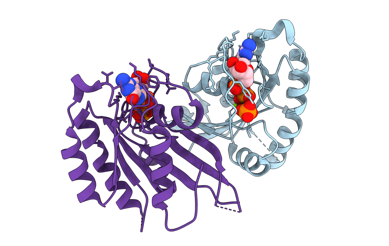 2ERX image