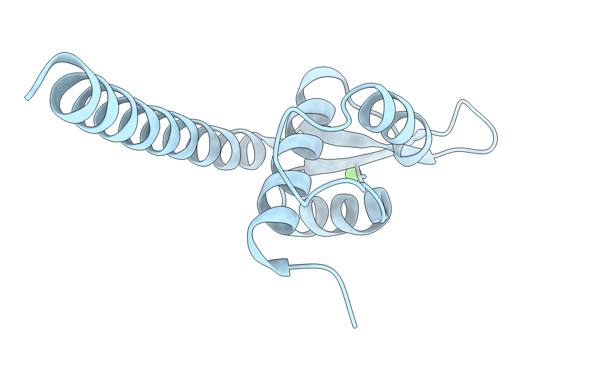 2ESH image
