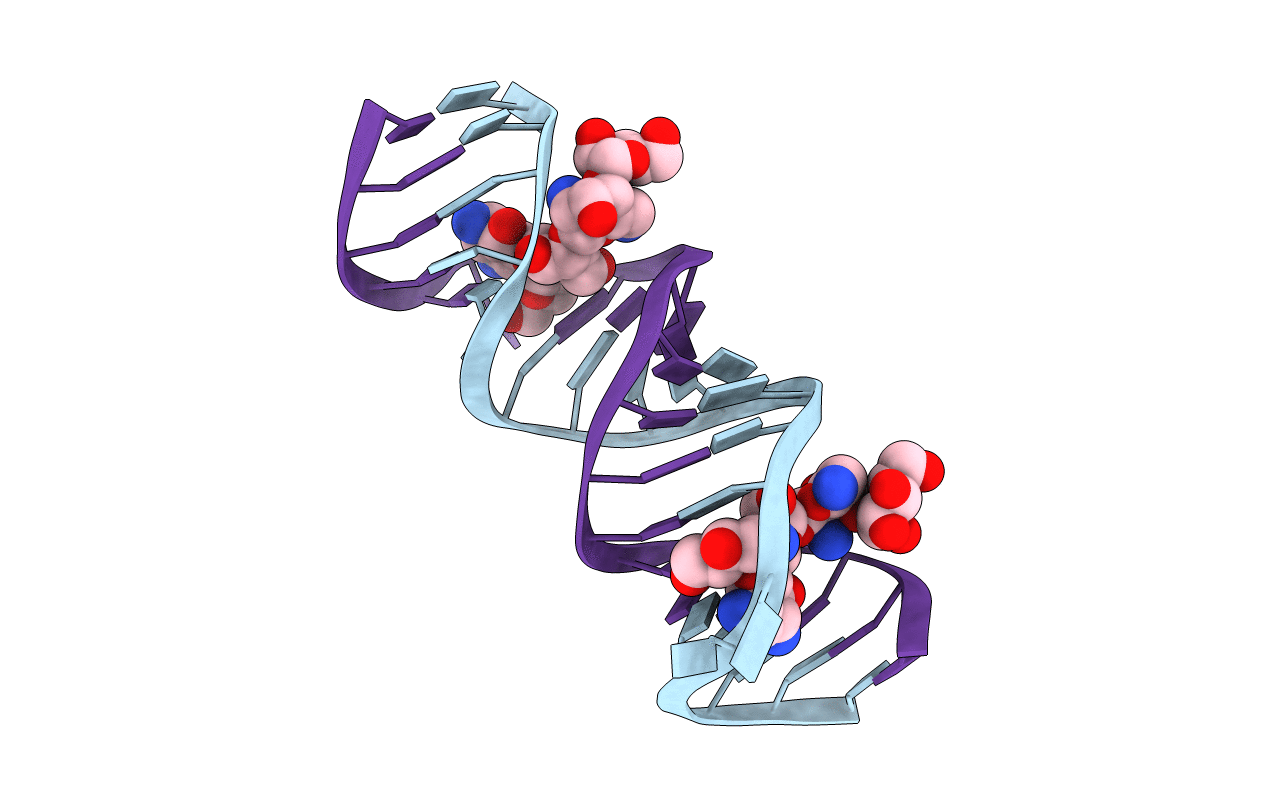 2ESJ image