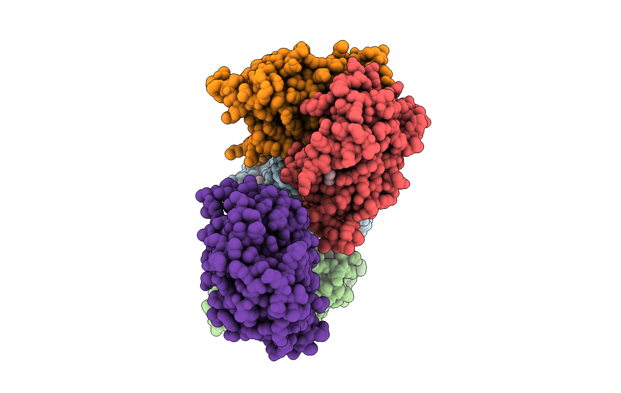 2EWP image