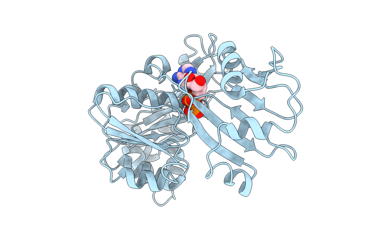 2EWV image