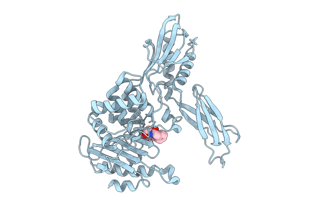 2EX8 image